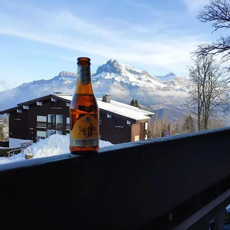Cosy, Style Montagnard Et Moderne *
